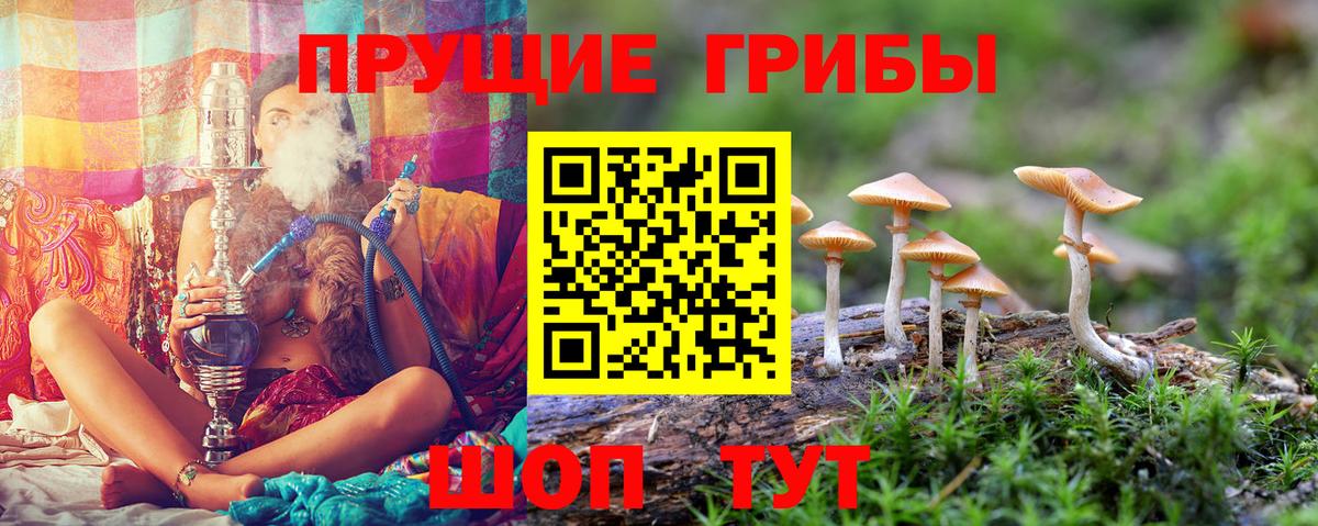 Псилоцибиновые грибы Magic Shrooms Уварово
